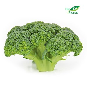 BROKUŁY ŚWIEŻE BIO (POLSKA) (około 0,60 kg)
