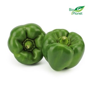 PAPRYKA ZIELONA ŚWIEŻA BIO (około 0,50 kg)
