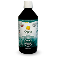 KONCENTRAT NAPOJU PROBIOTYCZNEGO MIĘTA BEZGLUTENOWY BIO 500 ml - JOY DAY