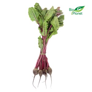 BOTWINA ŚWIEŻA BIO (POLSKA) (pęczek około 0,15 kg)