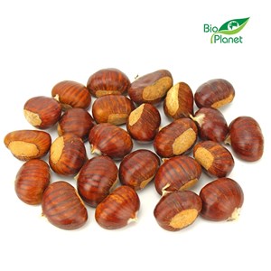 KASZTANY JADALNE ŚWIEŻE BIO (około 0,50 kg)