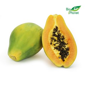 PAPAJA ŚWIEŻA BIO (około 0,60 kg)