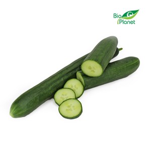 OGÓREK DŁUGI ŚWIEŻY BIO (około 0,30 kg)